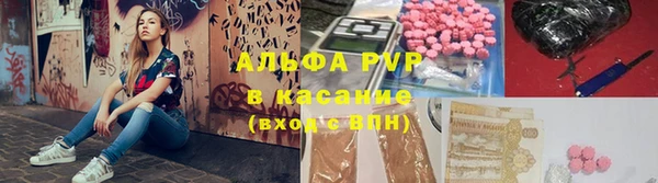 гидра Козловка