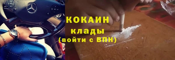 ПСИЛОЦИБИНОВЫЕ ГРИБЫ Кодинск
