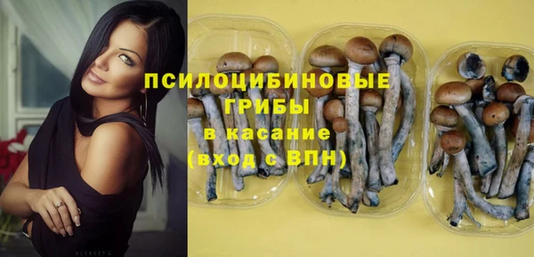 гидра Козловка