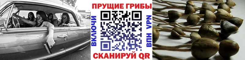 Галлюциногенные грибы Magic Shrooms наркошоп Печоры